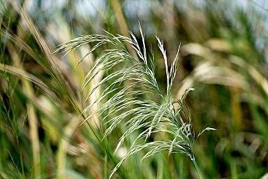 电影《闪电侠》“神速闪现”新预告 中国独家海报发布